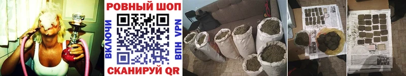 Купить закладку APVP  Галлюциногенные грибы  Лсд 25  Cocaine  Меф  ГАШИШ  Снежногорск