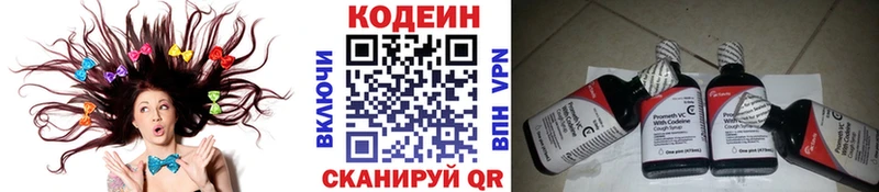 Купить закладки  Снежногорск  Кодеиновый сироп Lean Purple Drank 