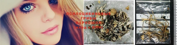 спайс Козловка