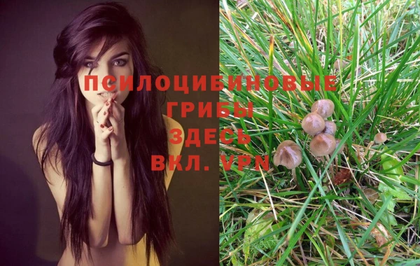 mdma Козельск