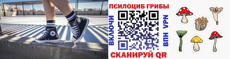 Галлюциногенные грибы Psilocybine cubensis  Купить где  Снежногорск 